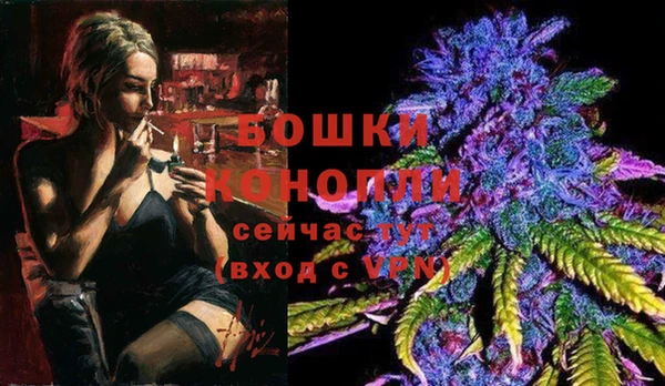 PSILOCYBIN Армянск
