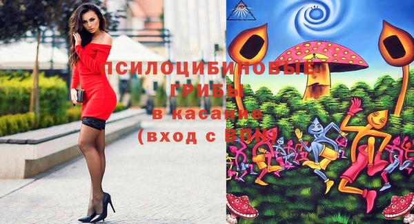 PSILOCYBIN Армянск