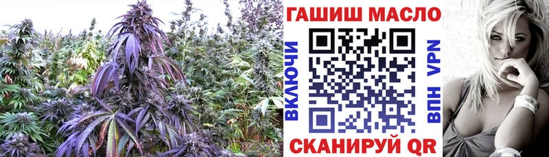 ТГК гашишное масло  Купить закладки  Верещагино 