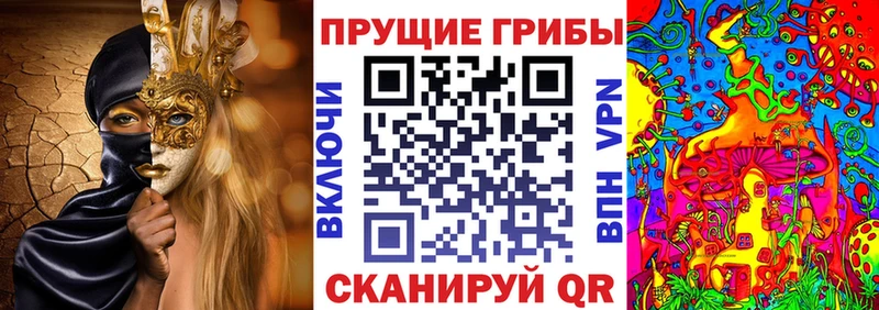 Купить закладки  Верещагино  Псилоцибиновые грибы мухоморы 